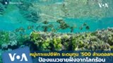 หมู่เกาะแปซิฟิก ระดมทุน ‘500 ล้านดอลลาร์‘ ป้องแนวชายฝั่งจากโลกร้อน