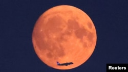 An aircraft passes in front of the moon, with a red glow attributable to smoke particles carried in the upper atmosphere from North American wildfires, a day ahead of the full super moon, as seen from Parliament Hill in London, Britain, August 18, 2024. (REUTERS/Toby Melville)