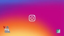 واسه تو دیوونگی کار منه...