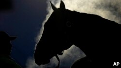 Steam rises from a horse as it gets a bath after an early-morning workout at Churchill Downs May 4, 2023, in Louisville, Ky. 