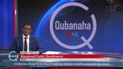 Xildhibaano mucaarad ah oo olole billaabay