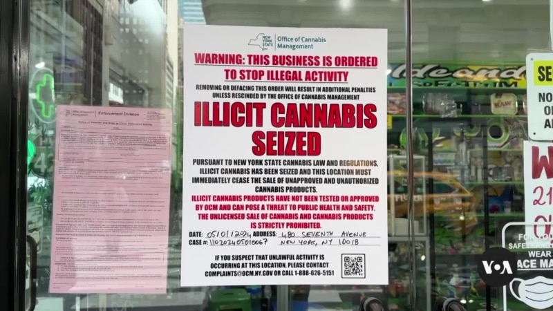 New York City targets hundreds of illegal marijuana stores  