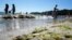 FILE - Toxic algae are seen on a beach in Gdynia, Poland, July 3, 2015. Similar algae are currently polluting parts of a tributary system of the Oder river in Poland. (Lukasz Glowala/Agencja Gazeta/via Reuters)