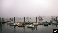 FILE - Boats are docked in Rye Harbor, New Hampshire, June 23, 2020. A whale overturned a fishing boat near Odiorne Point State Park in Rye on July 23, 2024, throwing two men overboard.