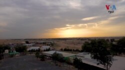 په متحده عرب اماراتو کې ځیني پښتانه مسافر، له ښارونو لېرې د څآرویو ساتنه کوي، دوی څه وایي؟