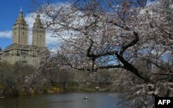 Gedung apartemen San Remo, di dekat Danau di Central Park, Kota New York, 10 April 2019. (TIMOTI A. CLARY / AFP)