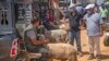 Sejumlah pembeli membeli hewan kurban menjelang Iduladha di sebuah pasar ternak di Kota Skhirat, sekitar 20 kilometer dari Rabat, ibu kota Maroko, 26 Juli 2020. (Foto: Fadel Senna/AFP)