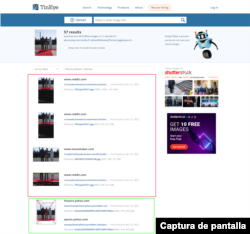 Resultados de la búsqueda con TinEye.