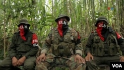 El ELN le pidió al gobierno colombiano ser retirados de la lista de Grupos Armados Organizados.