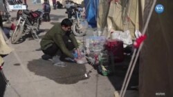 Çadırkentte Kuş Sesleri 