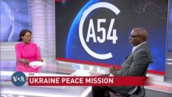 African Peace Mission to Russia, Ukraine Examined