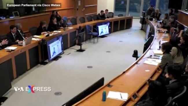 Nghị viên EU tổ chức hội thảo về nhân quyền VN sau 2 năm thực thi EVFTA