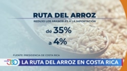 “La Ruta del Arroz”, muchas expectativas… pocos resultados, según expertos 