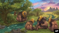 This illustration provided by researchers depicts Gigantopithecus blacki in a forest in the Guangxi region of southern China. The extinct great apes once stood around 10 feet tall and weighed up to 650 pounds.