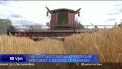 Shkencëtarët në Britani eksperimentojnë me përzierjet organike të plehrave