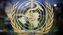 Preparing the World Health Organization for the Next Health Crisis