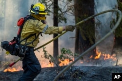 Find out about: Debris in Wildfire Smoke Might Building up Dementia Chance