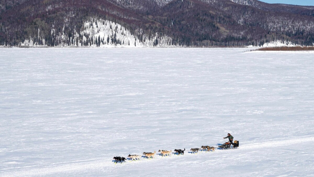 Alaskan Dogsled Race Begins with Smallest Field Ever - Vimarsana News