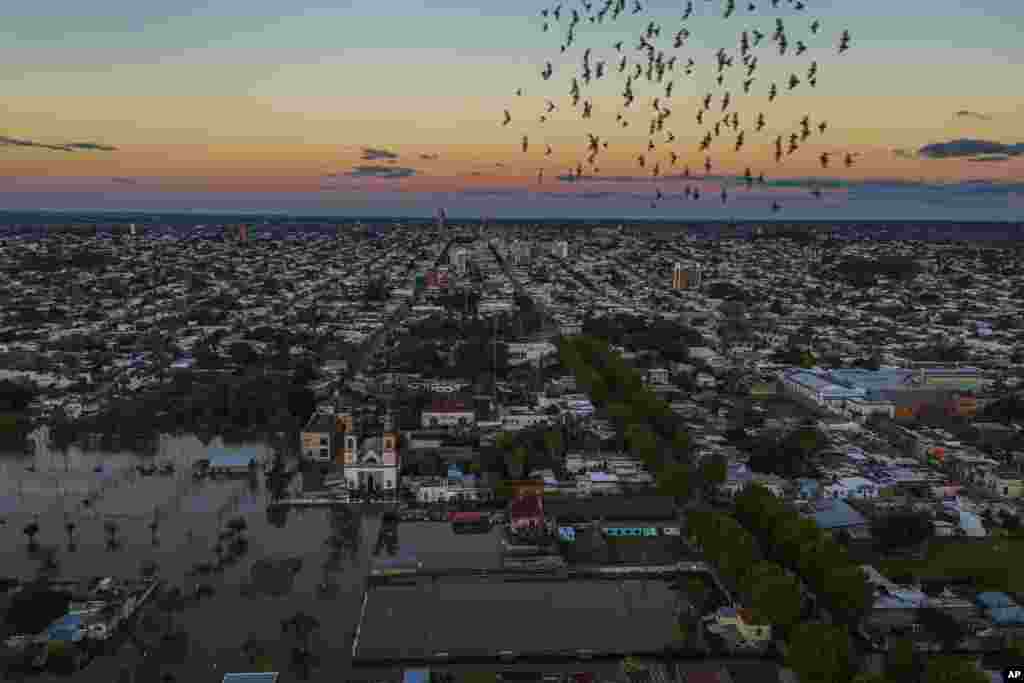Birds fly by a flooded area in Paysandu, Uruguay, May 13, 2024. 