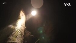 泰国步入可持续橡胶工业 乳胶采集工亦获较高收益