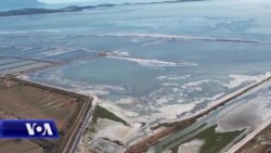 Ekspertët: rishikimi i zonave të mbrojtura përshkallëzon shkatërrimin e tyre