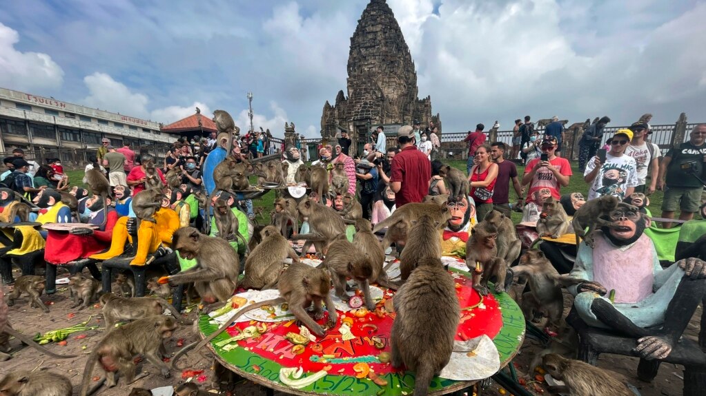 Officials Plan to End Monkey Invasion in Thai City