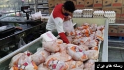 قیمت مرغ در روزها و هفته‌های اخیر در ایران نوسان فراوانی را شاهد بوده است.