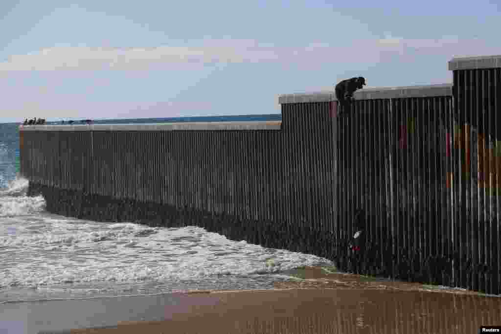 A migrant climbs the border fence to cross into the U.S. to request asylum, at Playas de Tijuana, in Tijuana, Mexico, Oct. 2, 2023. REUTERS/Jorge Duenes&nbsp;