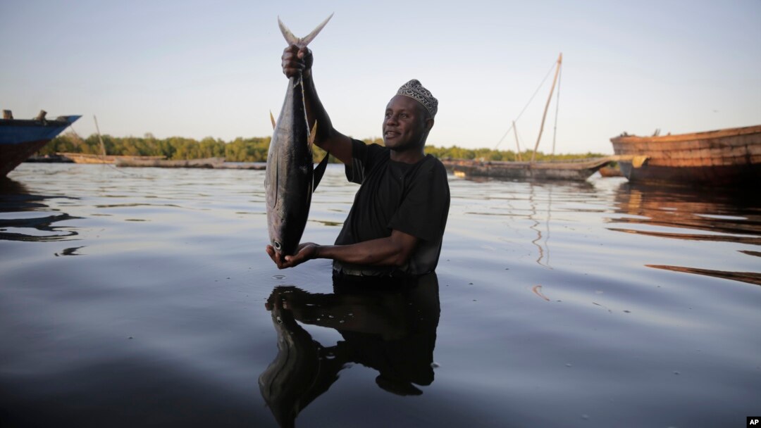 FILE - Fisherman Kassim Abdalla Zingizi holds a yellowfin tuna after a catch in Vanga, Kenya, on June 14, 2022. (AP Photo/Brian Inganga, File)