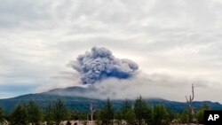 Dalam foto yang diambil dari video AP, yang disediakan oleh Badan Vulkanologi dan Seismologi Rusia, letusan gunung berapi Shiveluch memuntahkan abu vulkanik terlihat di Semenanjung Kamchatka Rusia. 