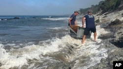 This photo provided by the Channel Islands Marine & Wildlife Institute (CIMWI) shows rescue workers help carry a sick Sea Lion from Hendry's beach in Santa Barbara (Channel Islands Marine & Wildlife Institute via AP)