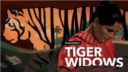 Tiger Widows (S3, E43)