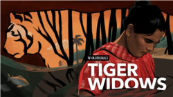 Preview: Tiger Widows (S3, E43) 