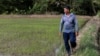 Giá gạo tăng: nông dân mừng, doanh nghiệp khổ, dân vẫn đủ gạo?