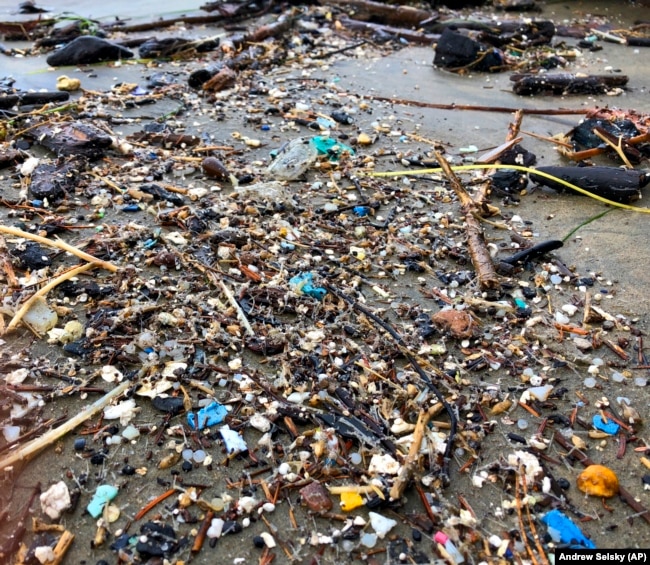 This Jan. 19, 2020 photo shows microplastic debris that has washed up at Depoe Bay, Ore. Dozens of scientists from around the U.S. West will attend a gathering this week in Bremerton, Wash., to better focus the research on the environmental threat. (AP Photo/Andrew Selsky)