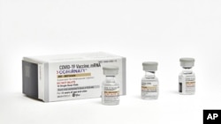 This photo provided by Pfizer in September 2023 shows single-dose vials of the company's updated COVID vaccine for adults. U.S. regulators have approved updated COVID-19 vaccines from Pfizer and Moderna to boost protection this fall and winter.