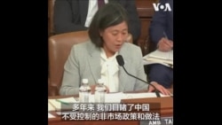 戴琪：美准备通过新的对华关税行动 对抗中国的非市场政策