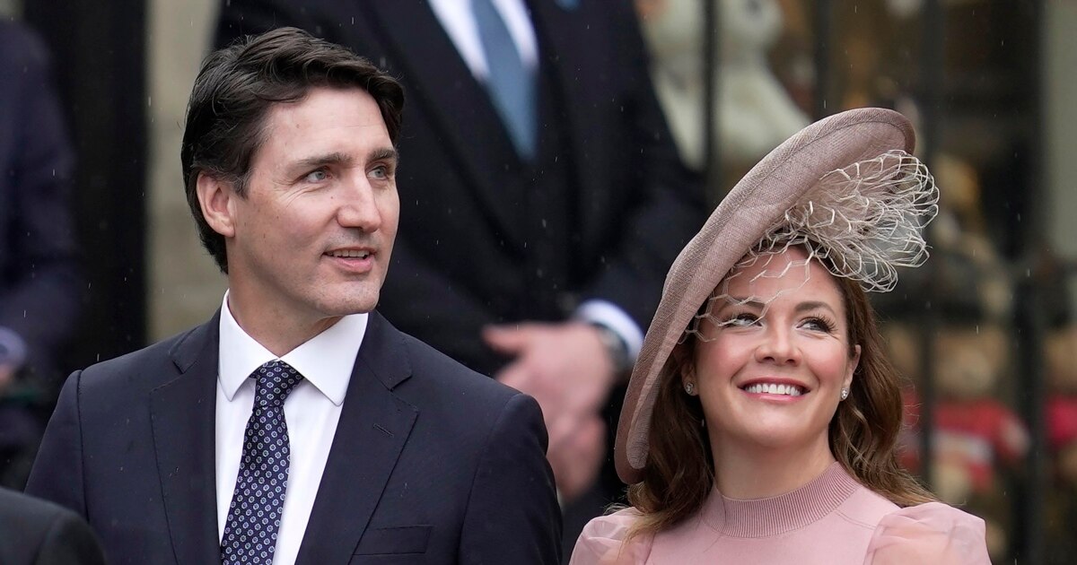 【美品・定価221,000円】ウォントレスエッセンシャルデラヴィTrudeau 01000000-0aff-0242-2989-