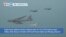 VOA60 America- U.S. B-52 bombers take part in joint military drills with South Korean jets