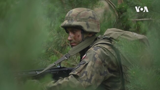 Сè повеќе Полјаци доброволно се пријавуваат за воена обука