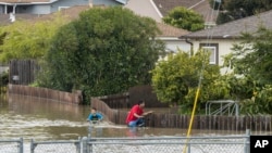 A boy and a man ride bicycles through floodwaters in Watsonville, California, March 11, 2023. 