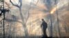 ‘Prescribed Burns’ Could Aid Forests in US Southeast, Experts Say 