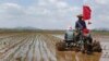 North Korea's Kim Demands More Farmland to Boost Food Production