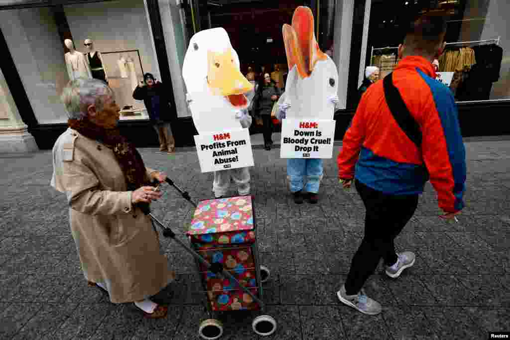 People hold up signs during an animal welfare protest outside the opening of a new H&M shop in Dublin, Ireland.