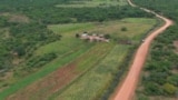Zimbabwe Climate Change Grains 