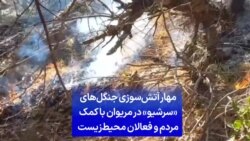 مهار آتش‌سوزی جنگل‌های «سرشیو» در مریوان با کمک مردم و فعالان محیط‌زیست