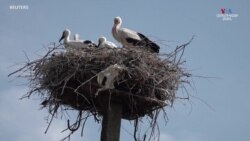 Այստեղ ապրելն անհնար է