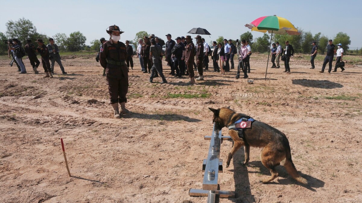 Japan, Cambodia share demining knowledge with Ukraine, other countries