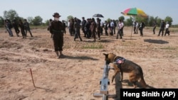 FILE - A dog sniffs COVID19 scents during a demonstration while Ukrainian deminers tour the Peace Museum Mine Action in Siem Reap province, northwestern Cambodia, Jan. 20, 2023.