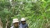 Perempuan Desa di Aceh Jadi Penjaga Hutan, Perangi Pembalak Liar